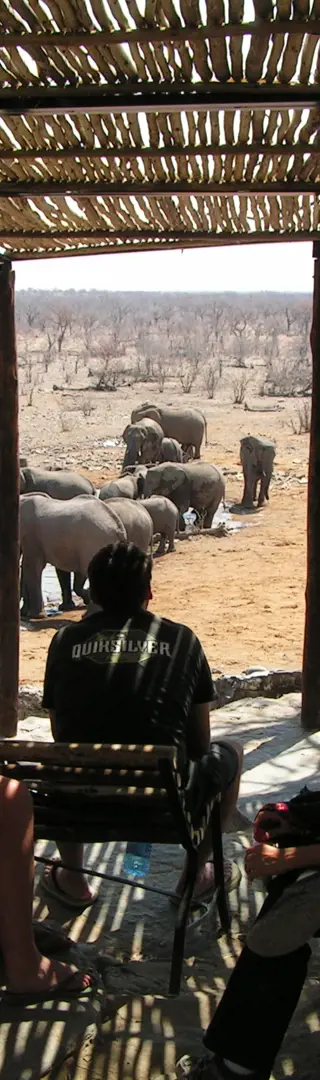 Wasserloch im Etosha-Nationalpark